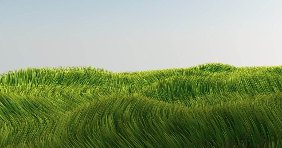 Flowing Grass Fields | Real-Time WebGL Grass Simulation